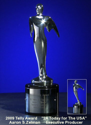 2009 Telly Award